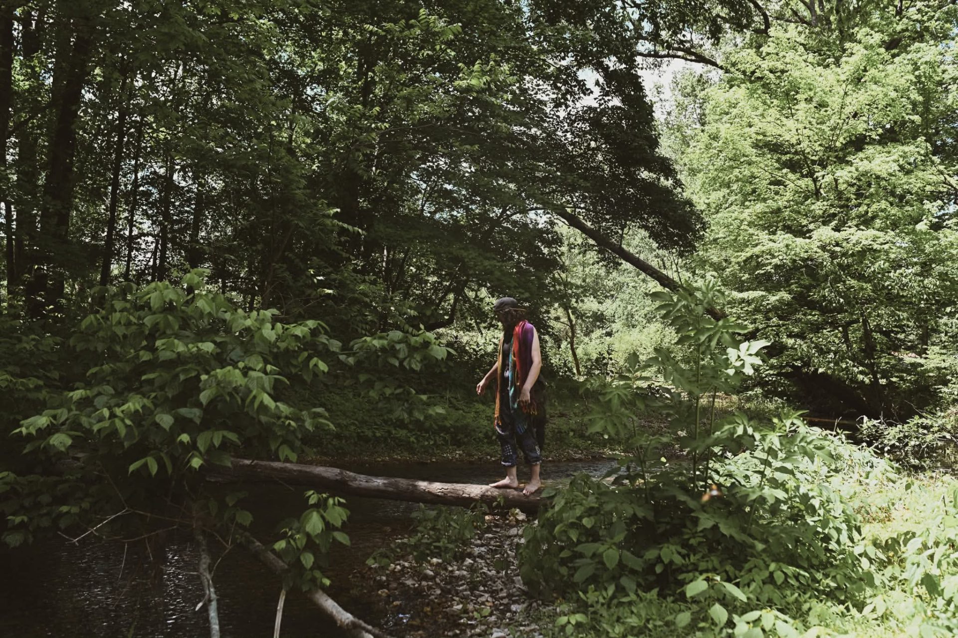 Crossing a log bridge through the forest